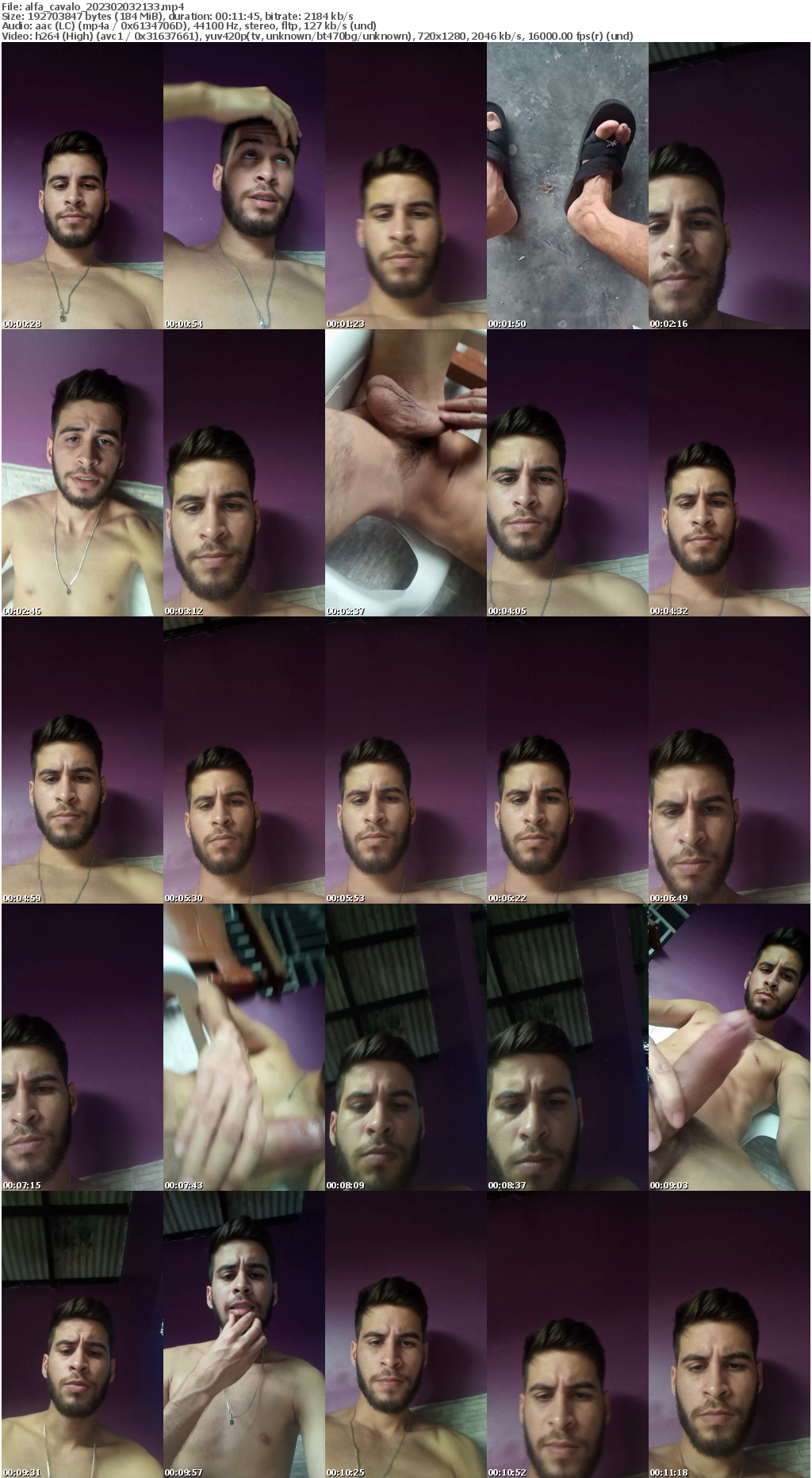 Preview thumb from alfa_cavalo on 2023-02-03 @ cam4