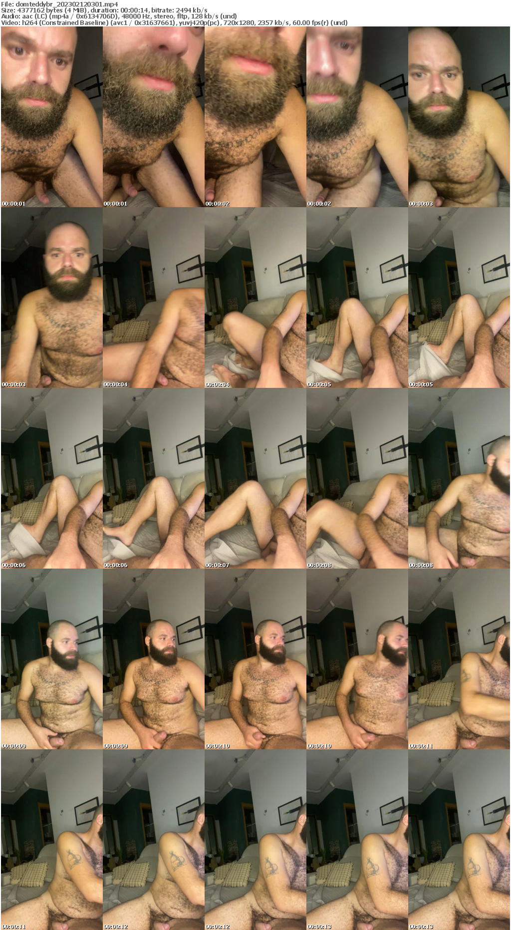 Preview thumb from domteddybr on 2023-02-12 @ cam4
