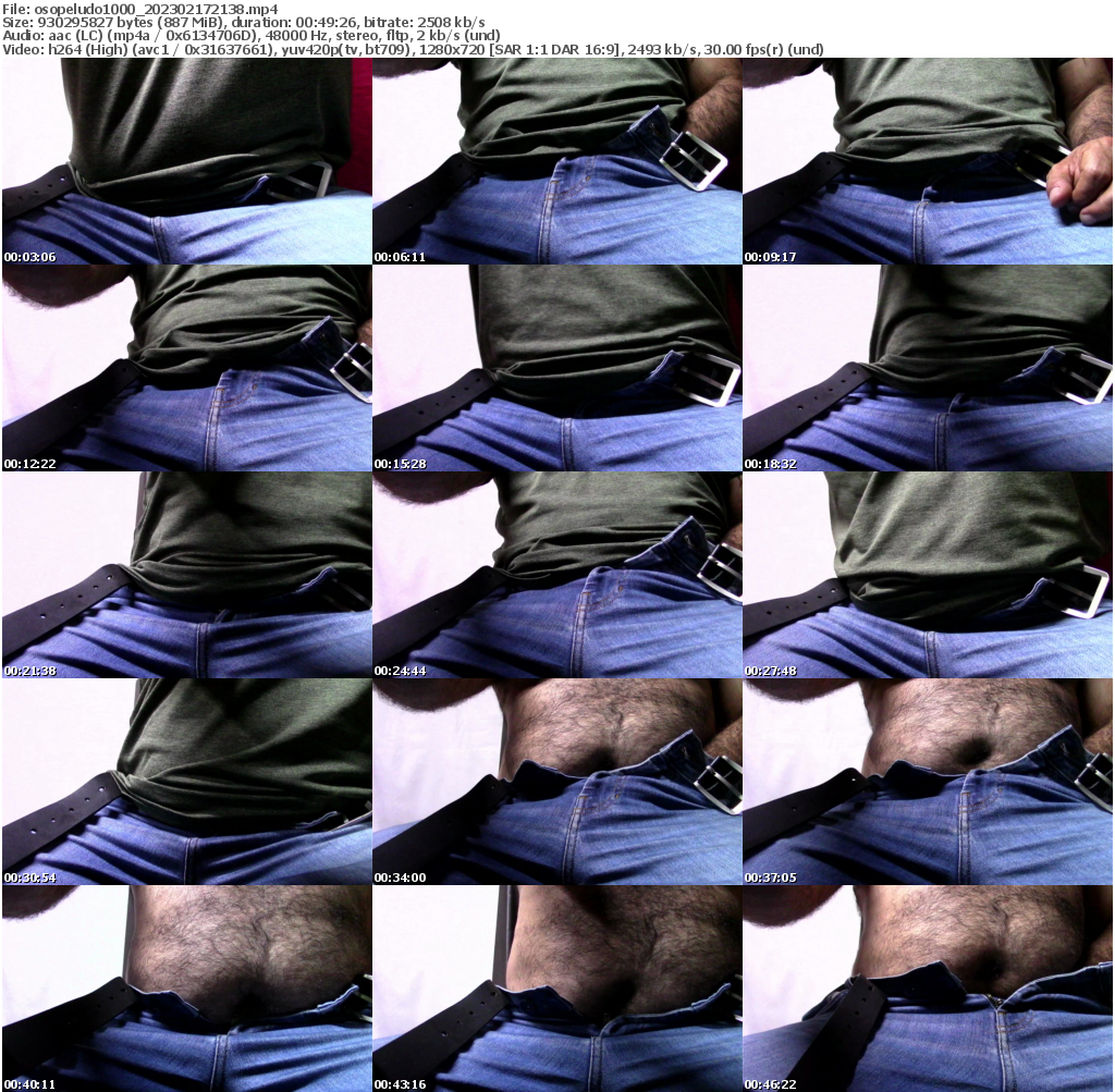 Preview thumb from osopeludo1000 on 2023-02-17 @ cam4