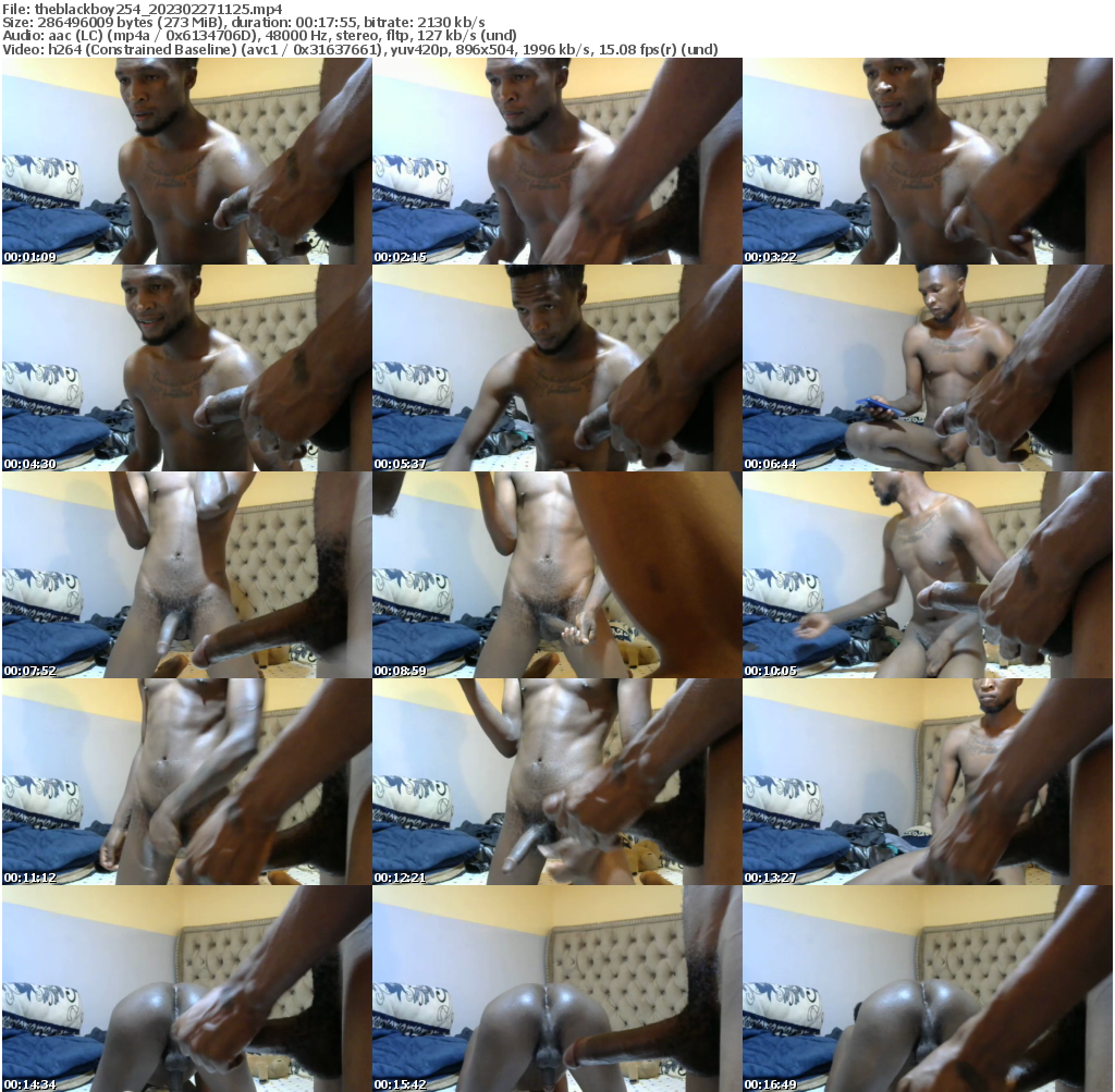 Preview thumb from theblackboy254 on 2023-02-27 @ cam4