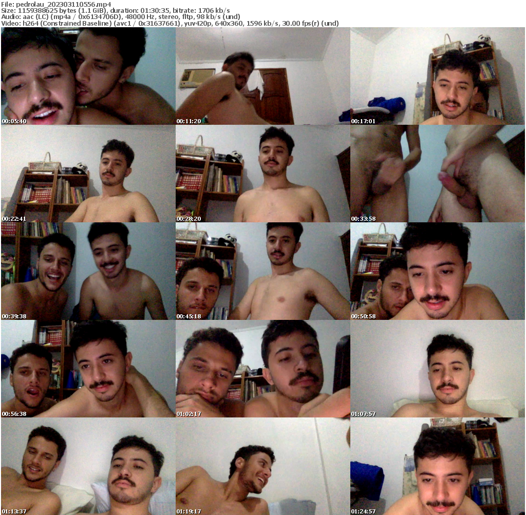Preview thumb from pedrolau on 2023-03-11 @ cam4