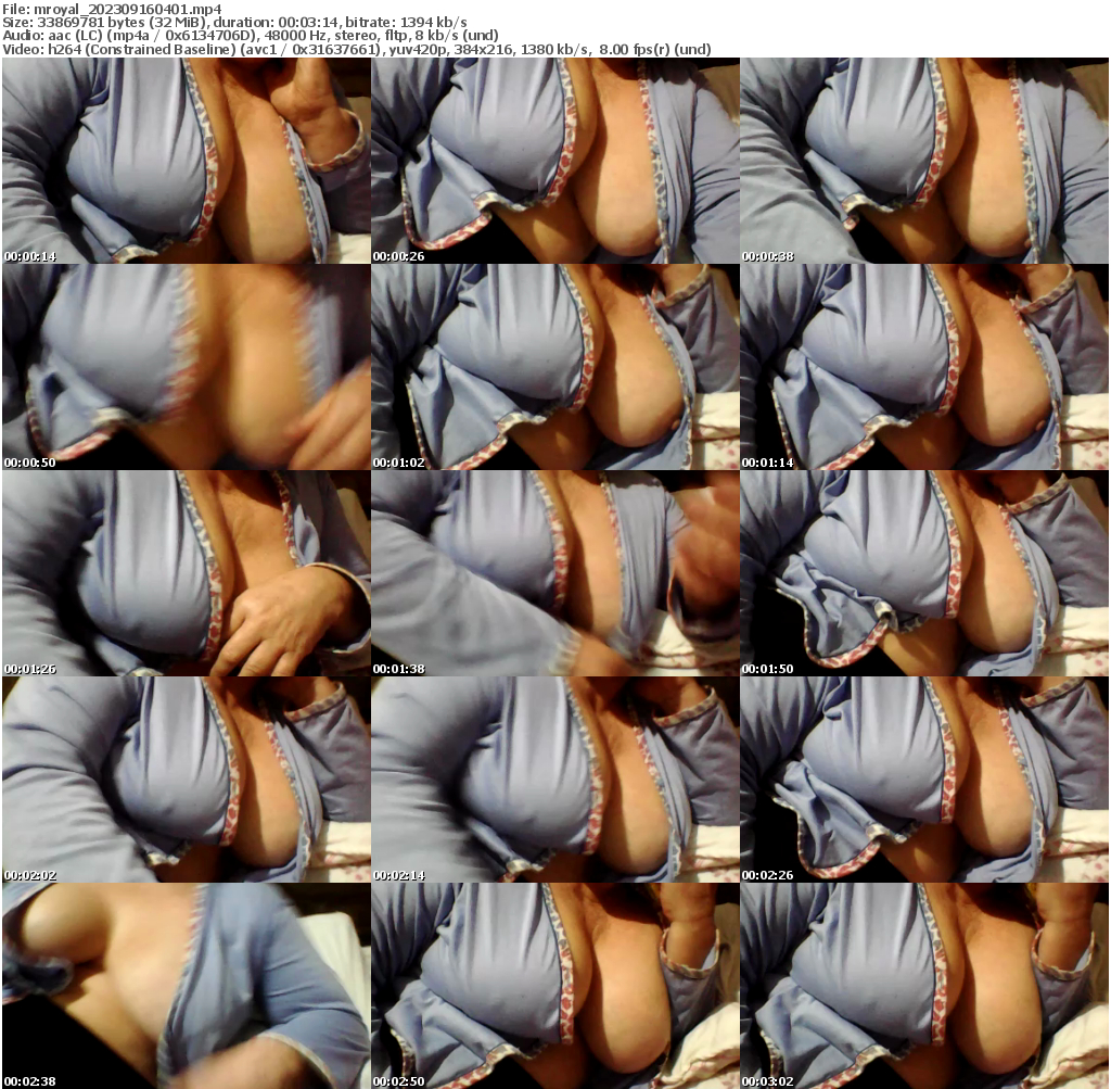 Preview thumb from mroyal on 2023-09-16 @ cam4